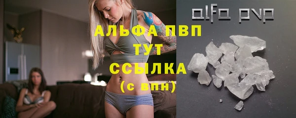a pvp Алзамай